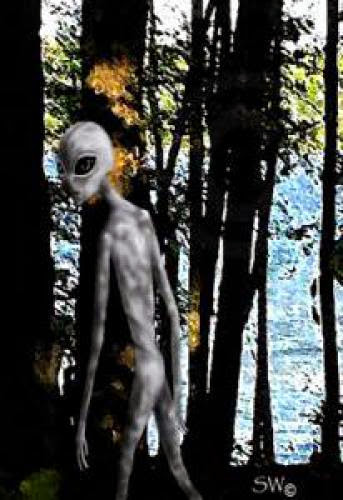 Paranormal Two Men Fishing In Michigan Have Alien Sighting