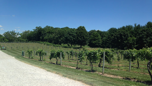 Winery «Mallow Run Winery», reviews and photos, 6964 W Whiteland Rd, Bargersville, IN 46106, USA