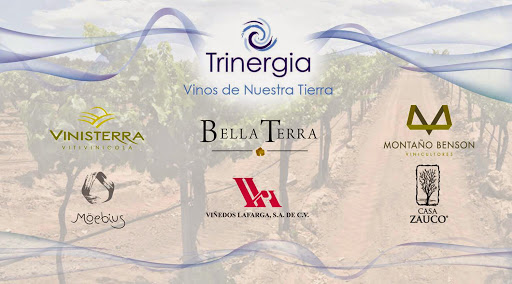 Trinergia, Enrique Sada Moguerza 13, Cd. Satélite, 53100 Naucalpan de Juárez, Méx., México, Mayorista e importador de vino | EDOMEX