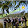 Sultan Ari Sultan Ari's profile photo