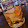 Jennifer Scott Jennifer Scott's profile photo