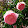 Rosie Mott Rosie Mott's profile photo