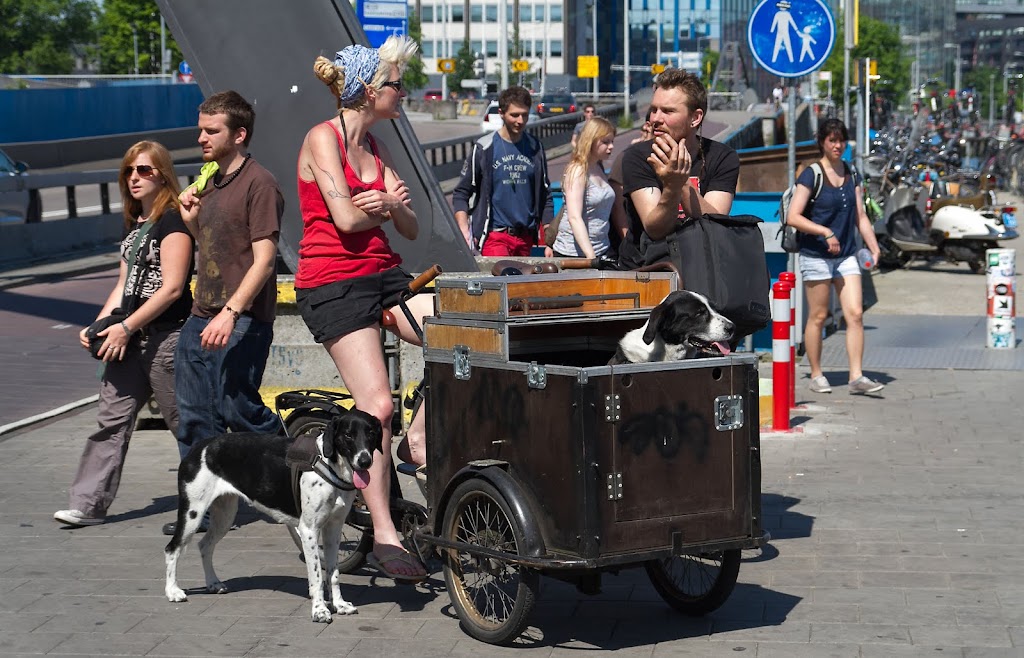 une nouvelle façon de promener ses chiens (Rotterdam) 20120528-voyage_ANOCR-336