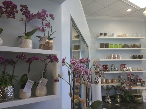 Florist «ROSAE Flower Boutique», reviews and photos, 5550 Douglas Blvd #190, Granite Bay, CA 95746, USA