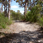 Wises service trail (34757)