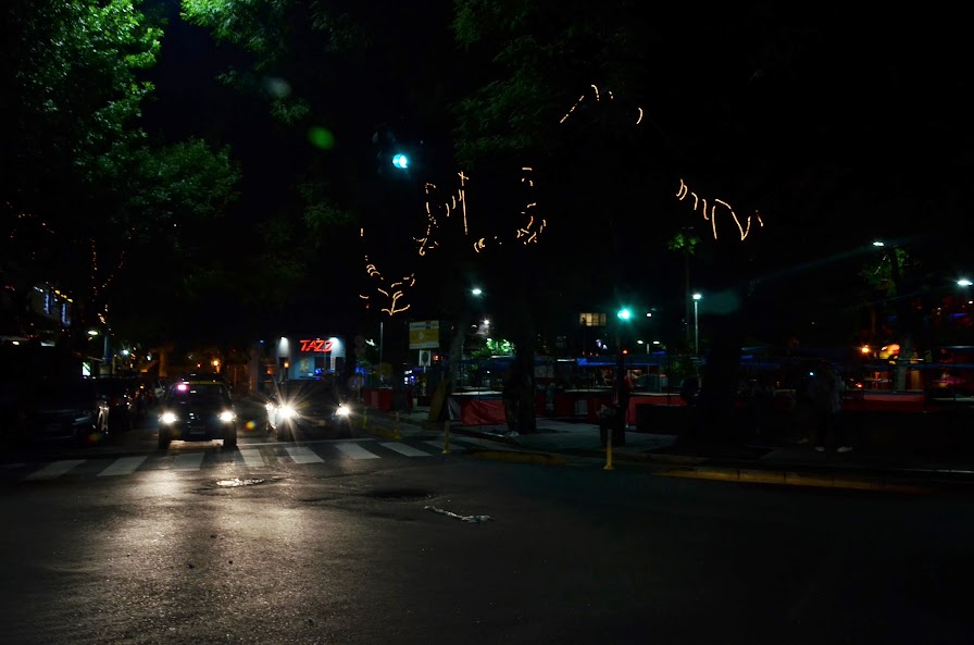 DSC_8587.JPG