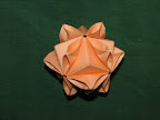 Zinnia from "Ornamental Origami" by Meenakshi Mukerji