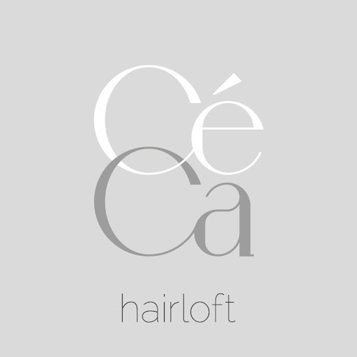 Coiffeur - CéCa hairloft logo