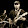 Marvin Schulz Marvin Schulz's profile photo