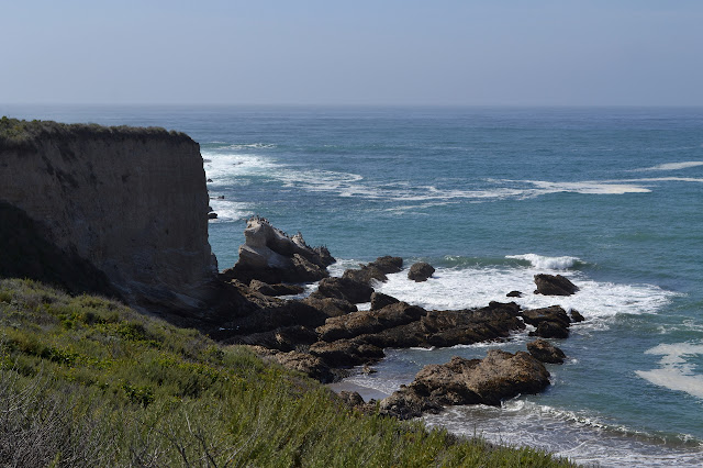 rocky shoreline and cliffs