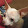 Leelee E Leelee E's profile photo