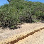 Upper end of Grass Tree Track (249817)