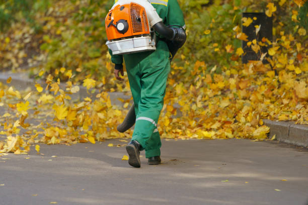 Backpack Leaf Blowers