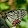 Michelle Lo Michelle Lo's profile photo