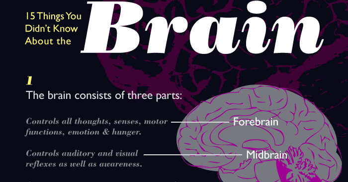 Телефон brain. Facts about Brain. Brainfacts язык. Журнал Brain. Brain fact язык.