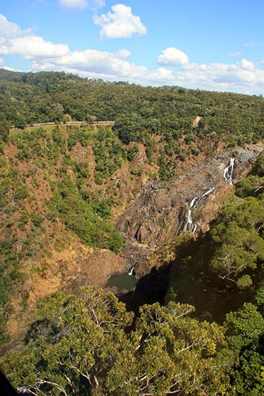 AUSTRALIA: EL OTRO LADO DEL MUNDO - Blogs de Australia - Cairns: Kuranda-buceo en la Gran Barrera-Rain Forest (3)