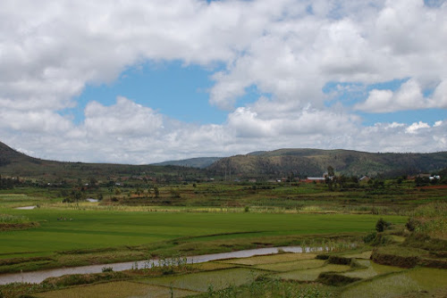 Rice fields, Central Highlands