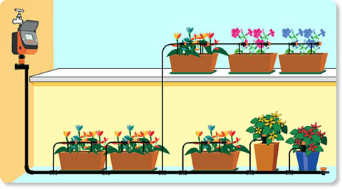 impianto - sistema di irrigazione balcone-terrazzo fai da te?  automatica-senza rubinetto? - Un quadrato di giardino