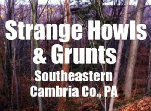 Strange Howls Grunts Southeastern Cambria Co Pa