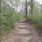 Steps in track near Red Hands Cave car park (145458)