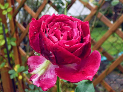 [Bild: PC020789.jpg]