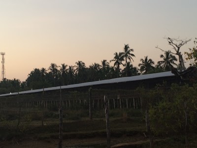 Photos of Bairaha Chicken Farm