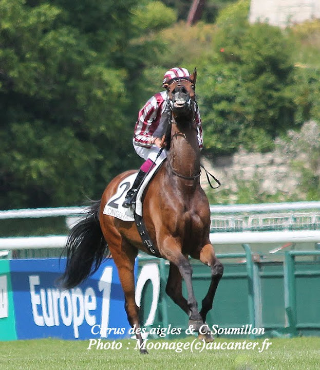 Photos Longchamp 25-05-2014 IMG_1342