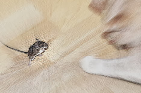 猫に追われたネズミ