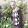 iishuna george iishuna george's profile photo