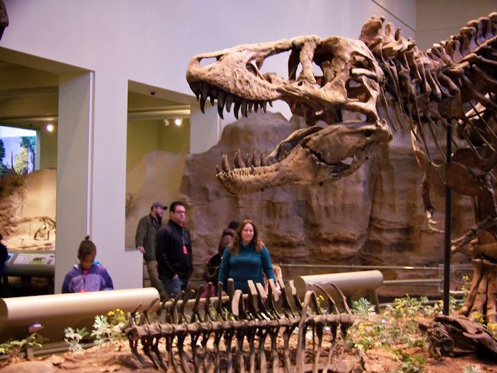 Dinosaur, Carnegie Museum of Natural History, Pittsburgh