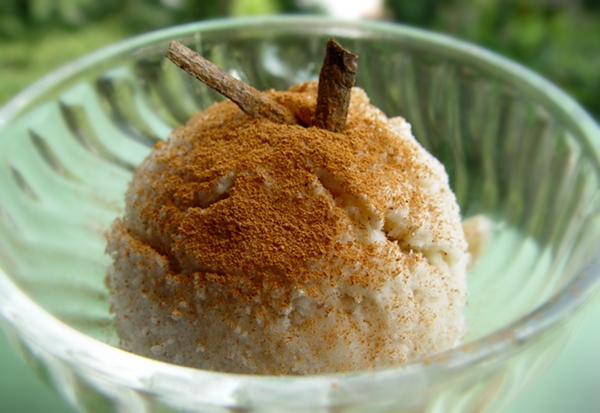 Raw Vegan Fig and Cinnamon Ice Cream made with Almond-Coconut Mylk