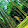 Sam Wong Sam Wong's profile photo