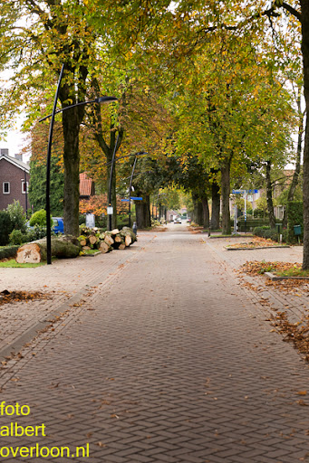Bomen gekapt Museumlaan in overloon 20-10-2014 (48).jpg