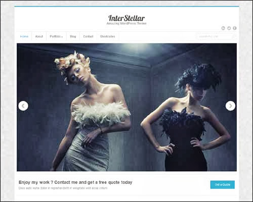 theme wordpress intersellar