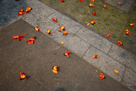 flowers on the ground outside the Kun Ian Temple in Macau
