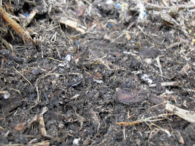 view of compost made from coffee frounds