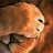 Lou Nattik avatar image