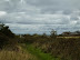 Common land at the edge of Runton parish