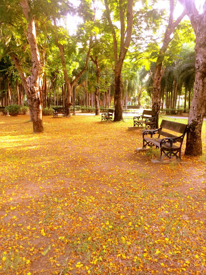 Somdet Phra Srinakarindra Park