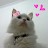 Andhina Anggono avatar image