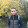 Amr Tarek Amr Tarek's profile photo