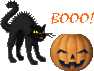 Gato Negro y calabaza de terror