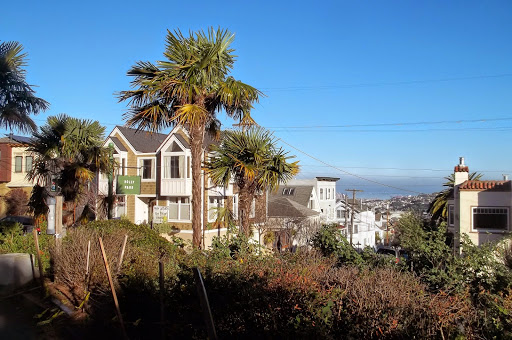 Holly Park