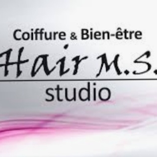 Hair M.S. Studio logo