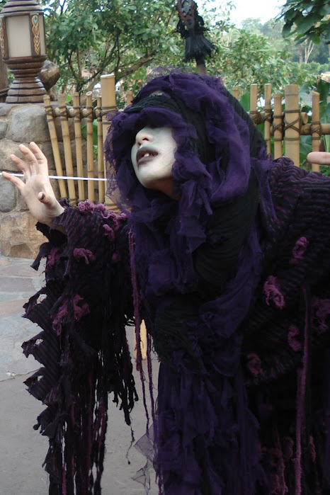 Hong Kong Disneyland Visit