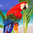 Summer Hanley avatar image