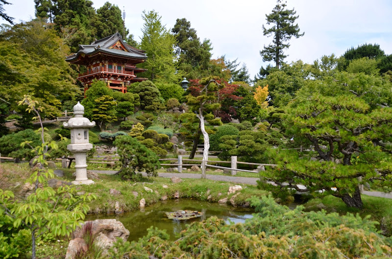 japanese tea garden