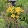 Jane Fallek Jane Fallek's profile photo