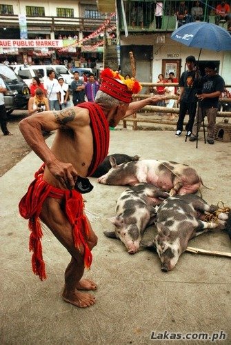 Mumbaki dancing with Rice Wine around the pigs
