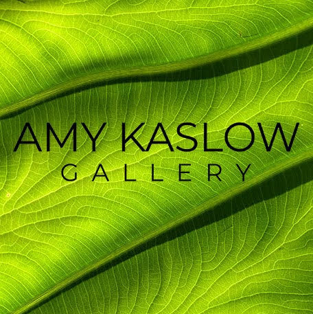 Amy Kaslow Gallery